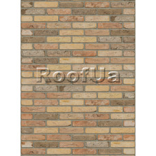 Цегла ручного формування Rijswaard Hayden HV